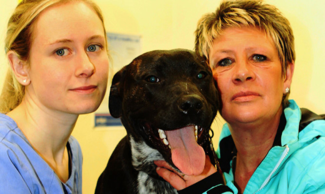 Vet Emily Turner and Heather Robb of Angus Dog Rescue with Tye.