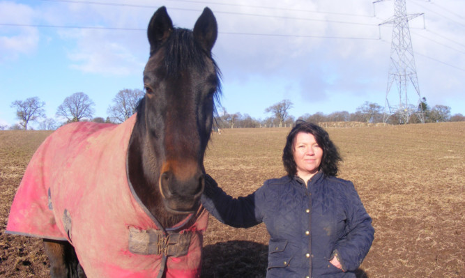 Horse therapist Anne MacGregor, who works out of Muthill.