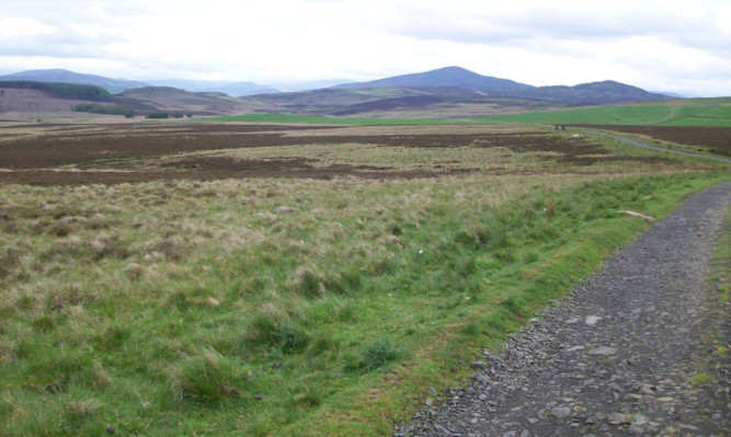 The proposed site of the Green Burn windfarm, looking north-west.