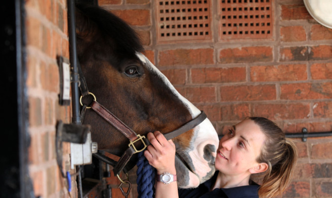 Police horse handler, Isabelle Collins, with Bud as he rests at his stables in West Yorkshire after he was attacked at the Newcastle versus Sunderland match.