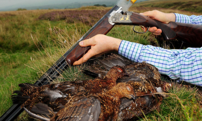 Strong demand for pursuits like grouse shooting is expected to contribute to the boost.