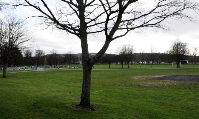 The South Inch in Perth.