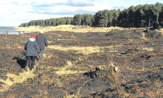 The large area of damage at Tentsmuir.