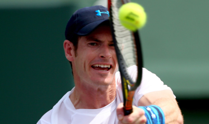 Andy Murray in action against Donald Young.