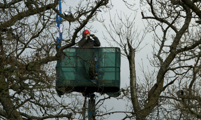 Using a cherry picker as part of a bid to encourage ospreys to use a new nest have been criticised by the RSPB.