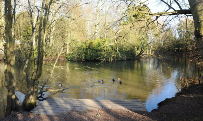 Tarvit Ponds.