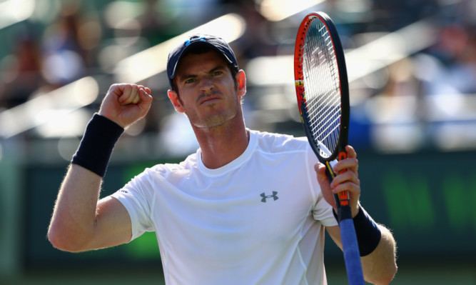 Andy Murray celebrates match point and his 500th ATP Tour victory against Kevin Anderson.