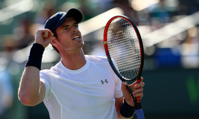 Andy Murray celebrates his victory over Kevin Anderson  his 500th career win.