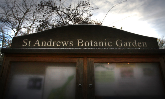 Kris Miller, Courier, 16/01/13. Picture today shows St Andrews Botanic Gardens for story about their future.