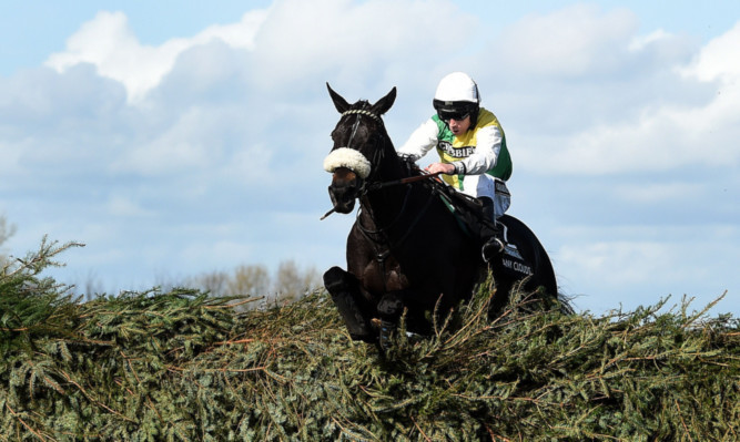 Many Clouds ridden by Leighton Aspell clears the final fence to win The Crabbie's Grand National.