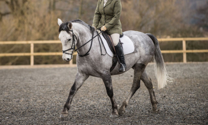 Double winners Liz Cox and Acton Zorro