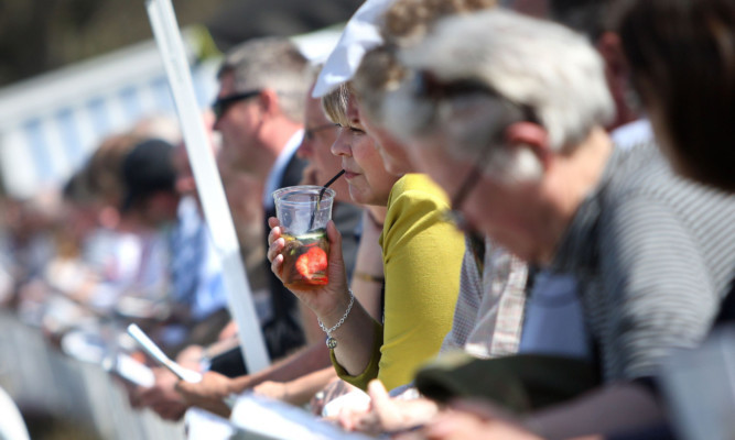 Punters enjoying the racing in the sun.