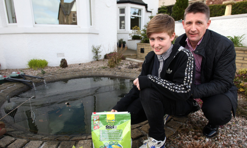 An otter has been blamed for the deaths of koi carp belonging to Colin and Jack Low.
