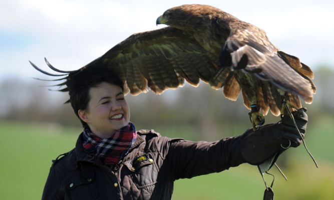 Ruth Davidson got up close with an African tawnie eagle during a visit to Elite Falconry at Cluny Mains Farm in Fife on Saturday.