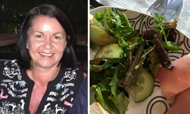 Extra crunchy salad: Kirkcaldy woman Louise Saunders got the fright of her life at dinner time.