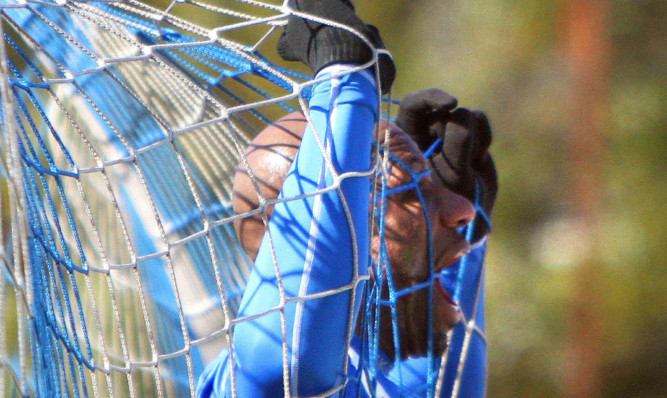 Marvin Andrews celebrating his goal.