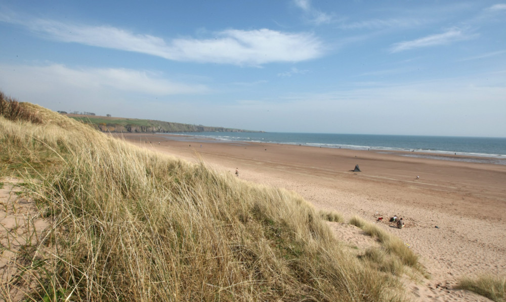 Lunan Bay in the spring sunshine, showing whyAngus is said to be the fourth most relaxing place to live in the UK.