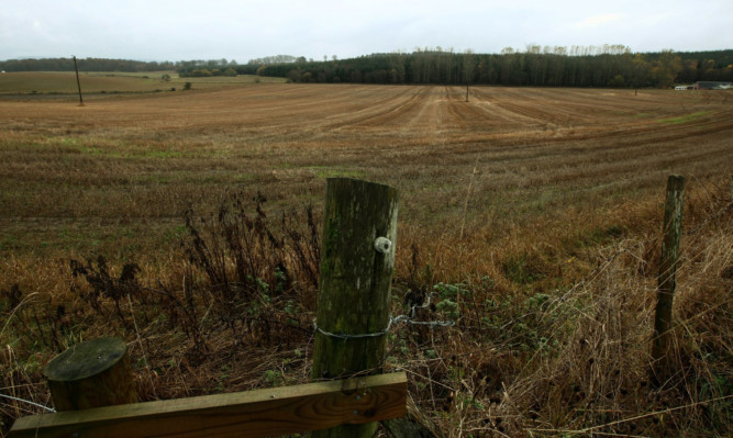 Plans for a new resort to the west of Gellybanks Farm near Bankfoot have been rejected.