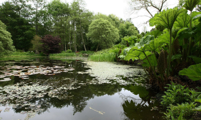 Visitor numbers are up at the Botanic Garden.