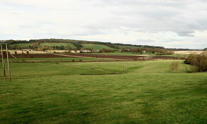 The proposed site for the North Development in Cupar.