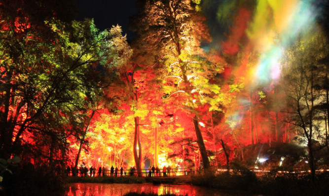 Spectacular sight: extra dates have been added to the Enchanted Forest sound and light show.