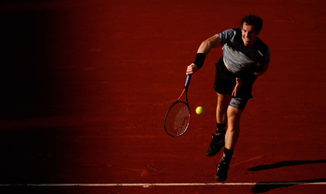 Andy Murray beat David Ferrer in their quarter-final at Roland Garros.