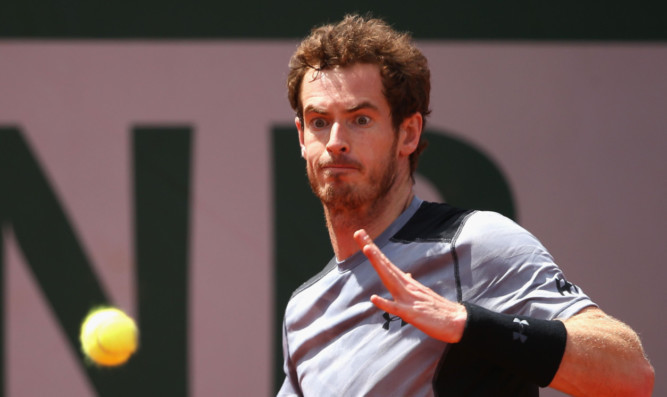 Sporting connection: Andy Murray in action.