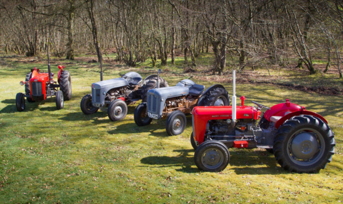 Some of the tractors being driven in the event.