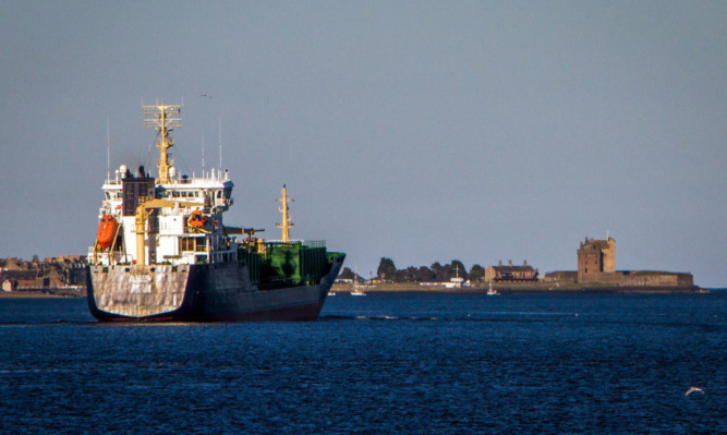 The Alcedo in the Tay near Broughty Ferry.