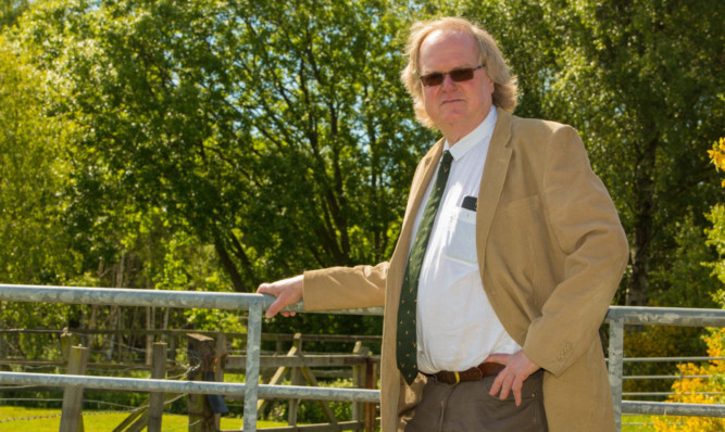 Councillor Andy Heer checks out the trouble spot in South Annsmuir Wood.