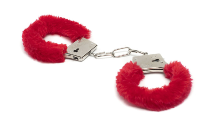 Furry handcuffs were among the weird and wonderful items that were seized.