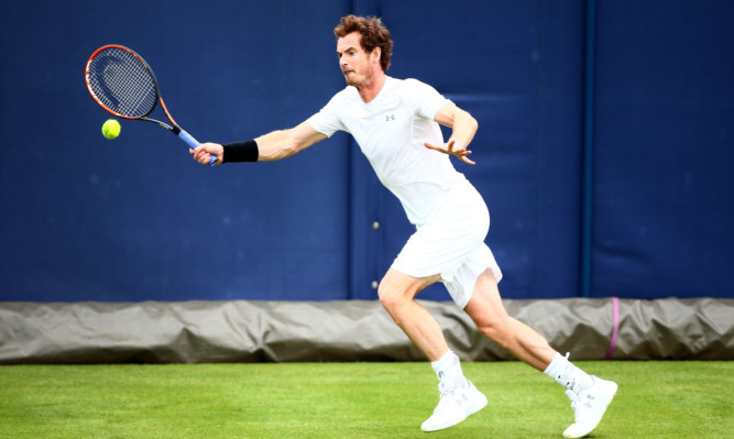 Andy Murray practicing ahead of Queens Club.