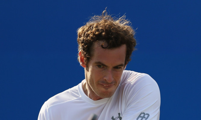 Andy Murray: shook off early struggles in both sets to beat Lu Yen-hsun 6-4 7-5 in the Aegon Championships.