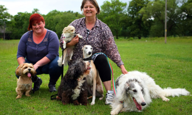 Kirsty Thomson and Abbie Withers with Barney, Sweetpea, Mollie, William and Fru.