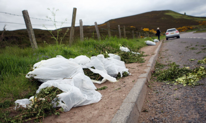 Rubbish dumped by the side of the A928 near the Perthshire-Angus border.