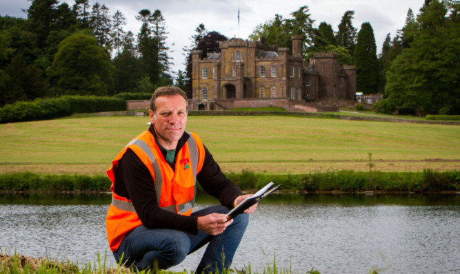 Nesting instinct: Mr Taylor, with Strathallan Castle in the background, says the construction timetable and site layout have been changed to help protect the birds.