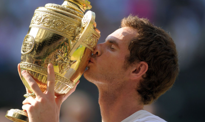 Andy Murray's route to a possible second Wimbledon title has become clearer.