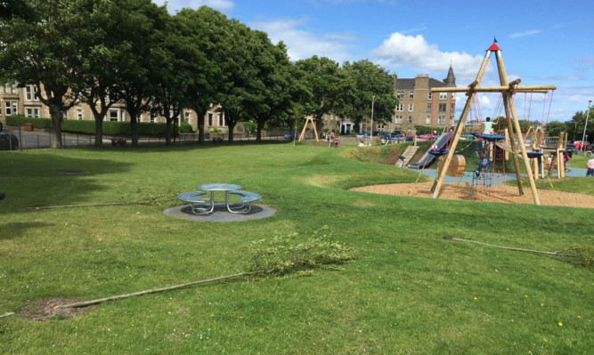 The three snapped trees at Roseangle play park.