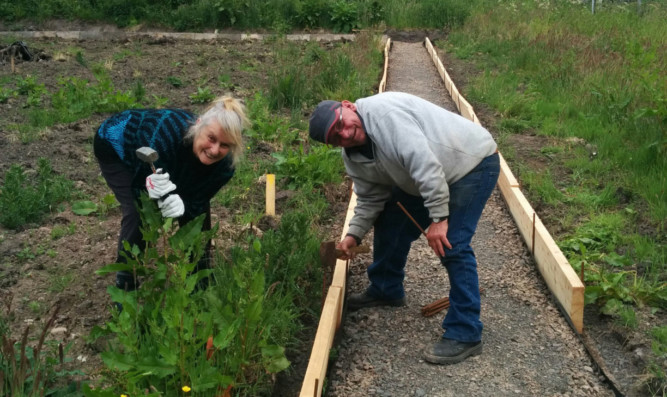 Fidelma and association member Neil Wallace hard at work sprucing up the allotment.