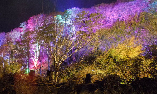 The creators of the event specialise in designing spectacular settings of illuminated forest.
