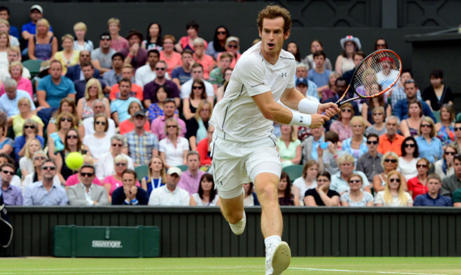 Andy Murray in action against Vasek Pospisil.