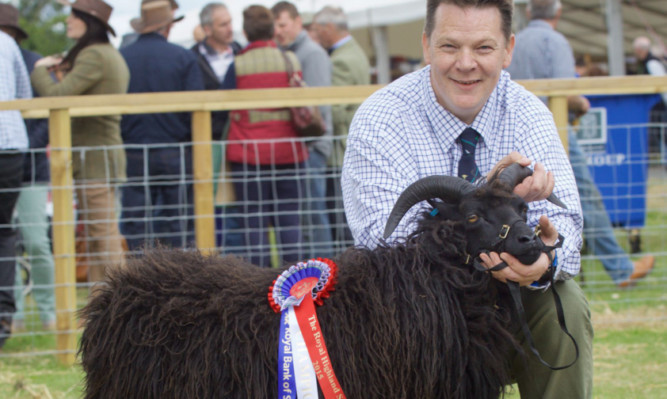 The Hebridean champion from J and M Cuthbert