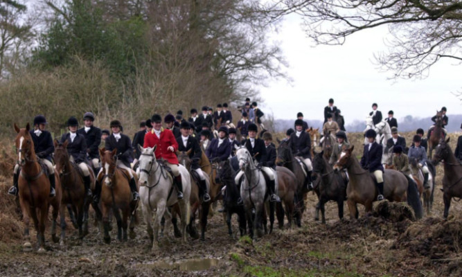 Fox hunting has become an unexpected issue for the SNPs group in Parliament.