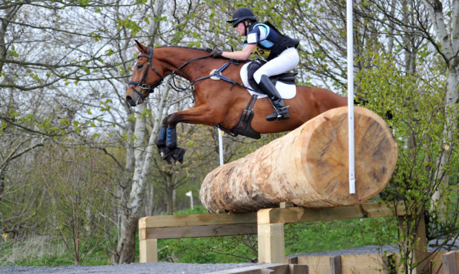 Olivia Strang Steel and Cooley Q prevail to top the Novice section at Kirriemuir, which included a number of new fences for 2015