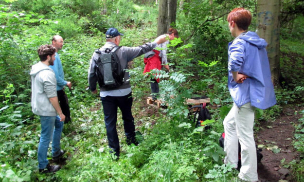 The Dighty Connect Conservation Group has found hogweed has grown to as much as ten feet.