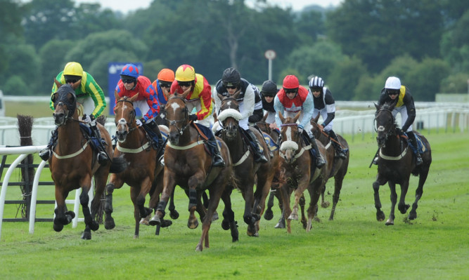 Perth Racecourse's Tuesday meeting has been abandoned.