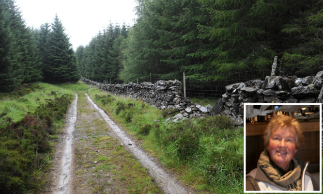 A section of the Loch Hoil trail where a dog walker found fresh blood on her pets paws and head. Susan McLean (inset) went missing in Perthshire while on holiday.