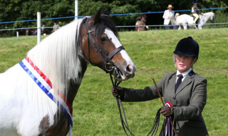 Rebecca Copeland and Dolly XIII - Braco supreme in hand horse champions