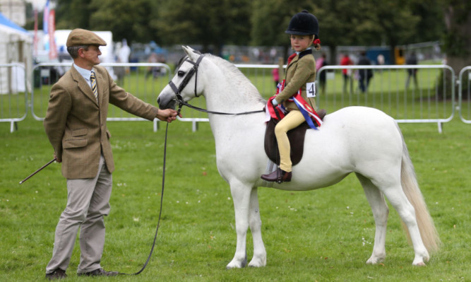 Supreme ridden champion - Gwynrhosyn Demelza, ridden by Rebecca Green