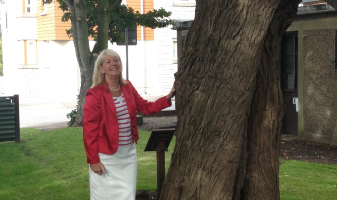 Angus Provost Helen Oswald next to the 'dibble tree' in Carnousite.